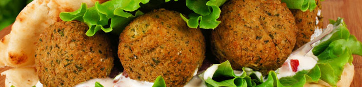 Fari's Delice Falafel