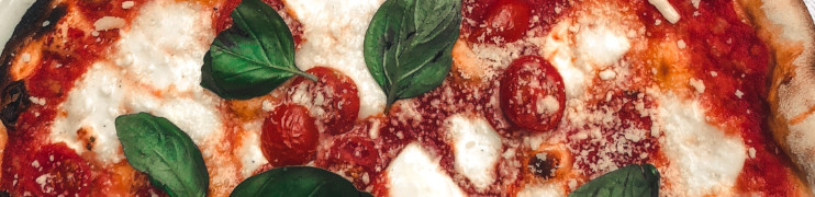 Rex Bistro Pizze