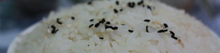 Master Wok Priloge