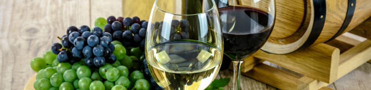 Restavracija & pizzeria B2 Vina