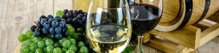 Vino & Ribe Vina