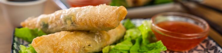 Ngon okus Vietnama Pečeni Spring Rolls