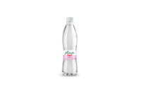 Radenska naturelle 0,5 l