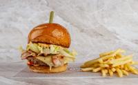 BURGER TEXAS + krompirček