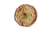 Pica Margerita