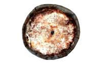 Margerita