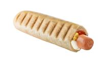 Poli dog