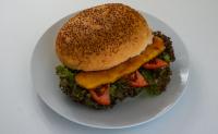 Pohani burger
