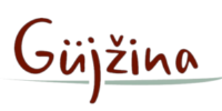 Güjžina
