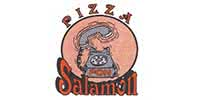Pizza Fon Salamon